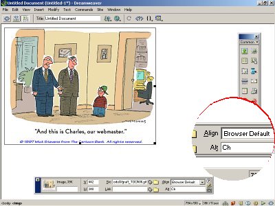 Cuadro de di&aacute;logo de indicaci&oacute;n de texto alternativo en Dreamweaver.