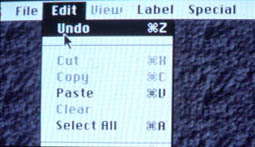 Vista de la opci&oacute;n deshacer en un men&uacute;.
