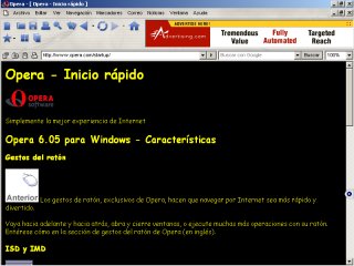 vista de la misma p&aacute;gina aplicando una hoja de estilo personal.